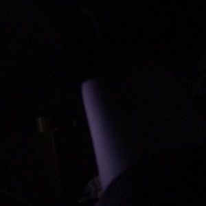 Meet your Posher, Brock